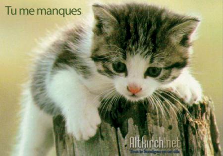 tu me manques